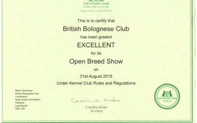 British Bolognese Club is awarded Certificate of Excellence