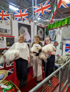 crufts 20265