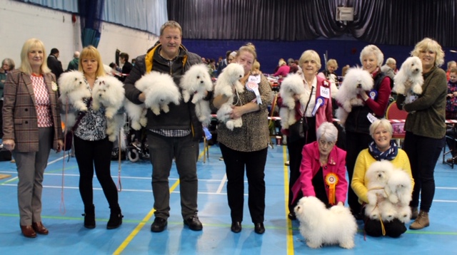 Sutton Coldfield & District Canine Association Open Show Saturday 23rd February 2019 – Judge’s Critique